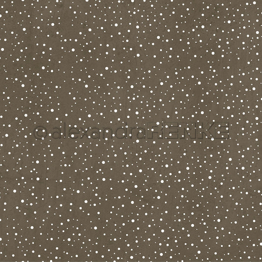 A.RENKE - Carta  "Snow flurry tin grey"- 10.2421