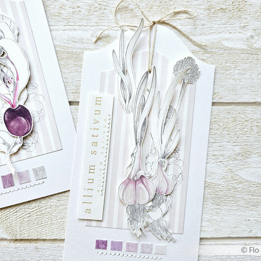 Design paper ' Allium Sativum' - P AR 10.3146 - A.RENKE