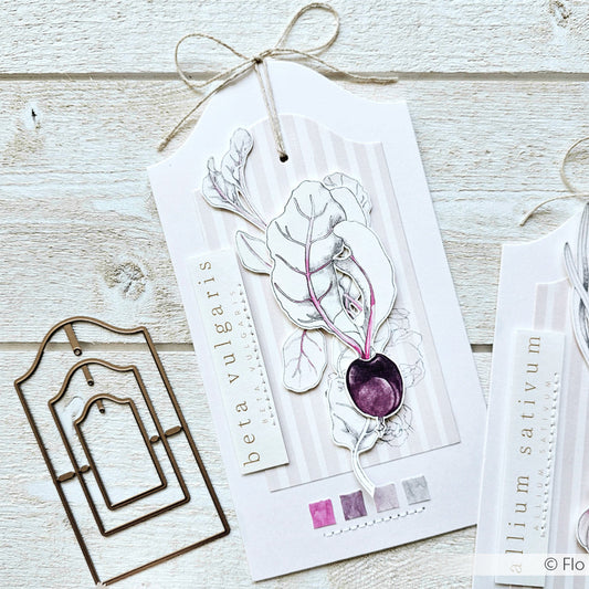 Design paper ' Beta vulgaris' - P AR 10.3142 - A.RENKE