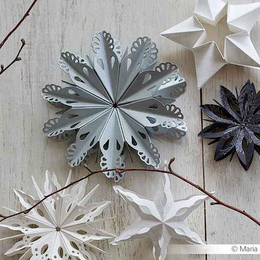 Fustella 'Flat Star with Ornamental Lace' - D-AR-3D0113 - A. RENKE