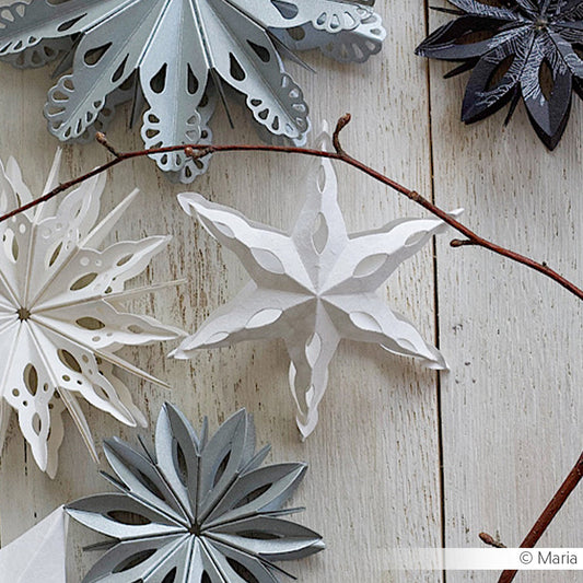 Fustella 'Star segment curved' - D-AR-3D0104 - A. RENKE