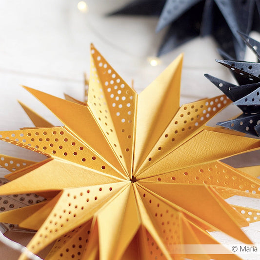 Fustella 'Star segment with hole pattern' - D-AR-3D0091 - A. RENKE