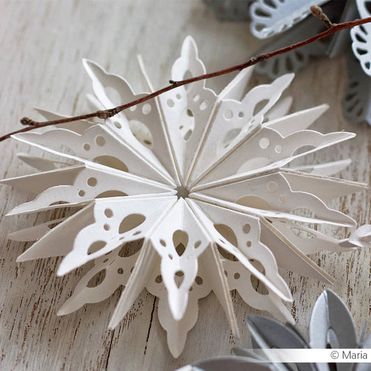 Fustella 'Star segment curved' - D-AR-3D0087 - A. RENKE