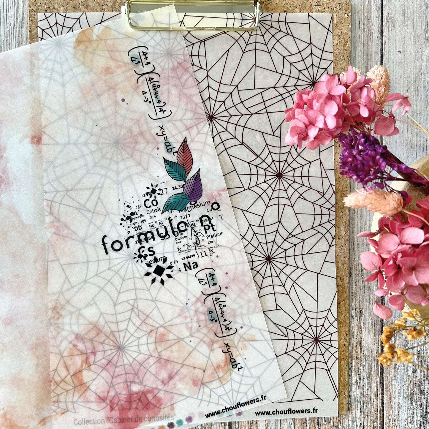 SET CARTE -PAPETERIE CREATIVE CABINET DE CURIOSITES - CAB133 - CHOU & FLOWERS
