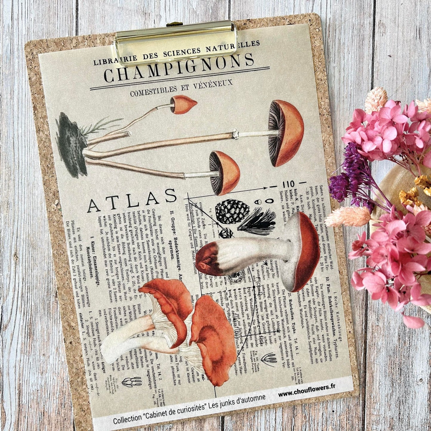 SET CARTE-LES JUNKS D'AUTOMNE CABINET DE CURIOSITES - CAB134 - CHOU & FLOWERS