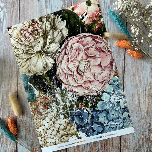 SET CARTE - JUNK SOUVENIRS D'ETE - BRE139 - CHOU & FLOWERS