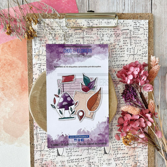 SET DIE-CUTS CABINET DE CURIOSITES - CAB105- CHOU & FLOWERS