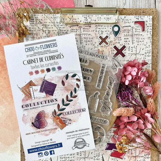 SET TIMBRI CLEAR - TEXTE LES CURIOSITES - CAB119 - CHOU & FLOWERS