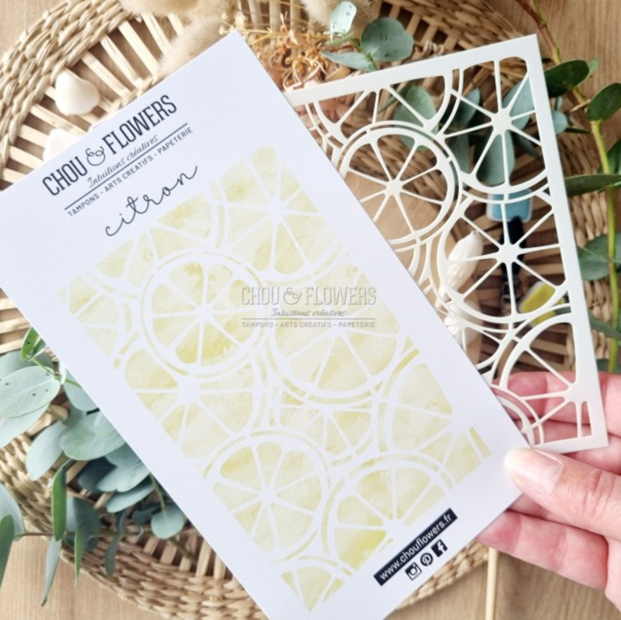 Stencil - CITRON - SUD127 - CHOU & FLOWERS