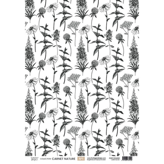 Set vellum "CARNET NATURE " FDPC224005 - FLORILEGES DESIGN