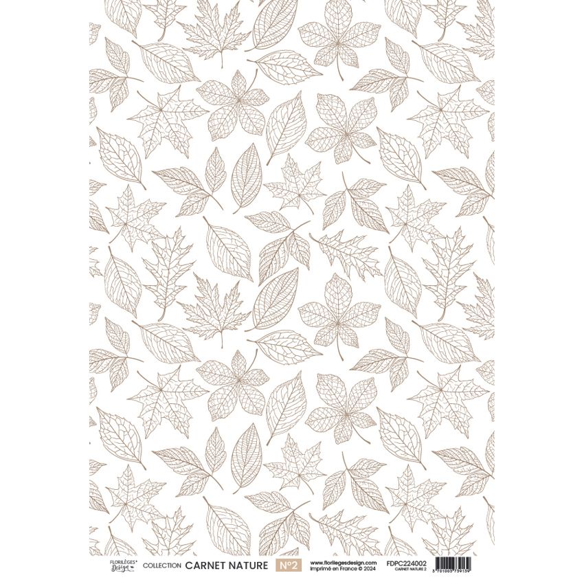 Set vellum "CARNET NATURE " FDPC224005 - FLORILEGES DESIGN