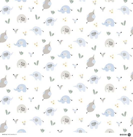 PAPER PACK "HELLO SWEET BOY" 12X12"- HSBPP12 - MODASCRAP