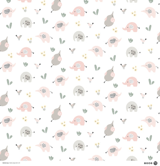 PAPER PACK "HELLO SWEET GIRL" 12X12"- HSGPP12 - MODASCRAP