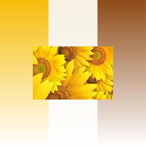 NATURALE GIALLO MARRONE