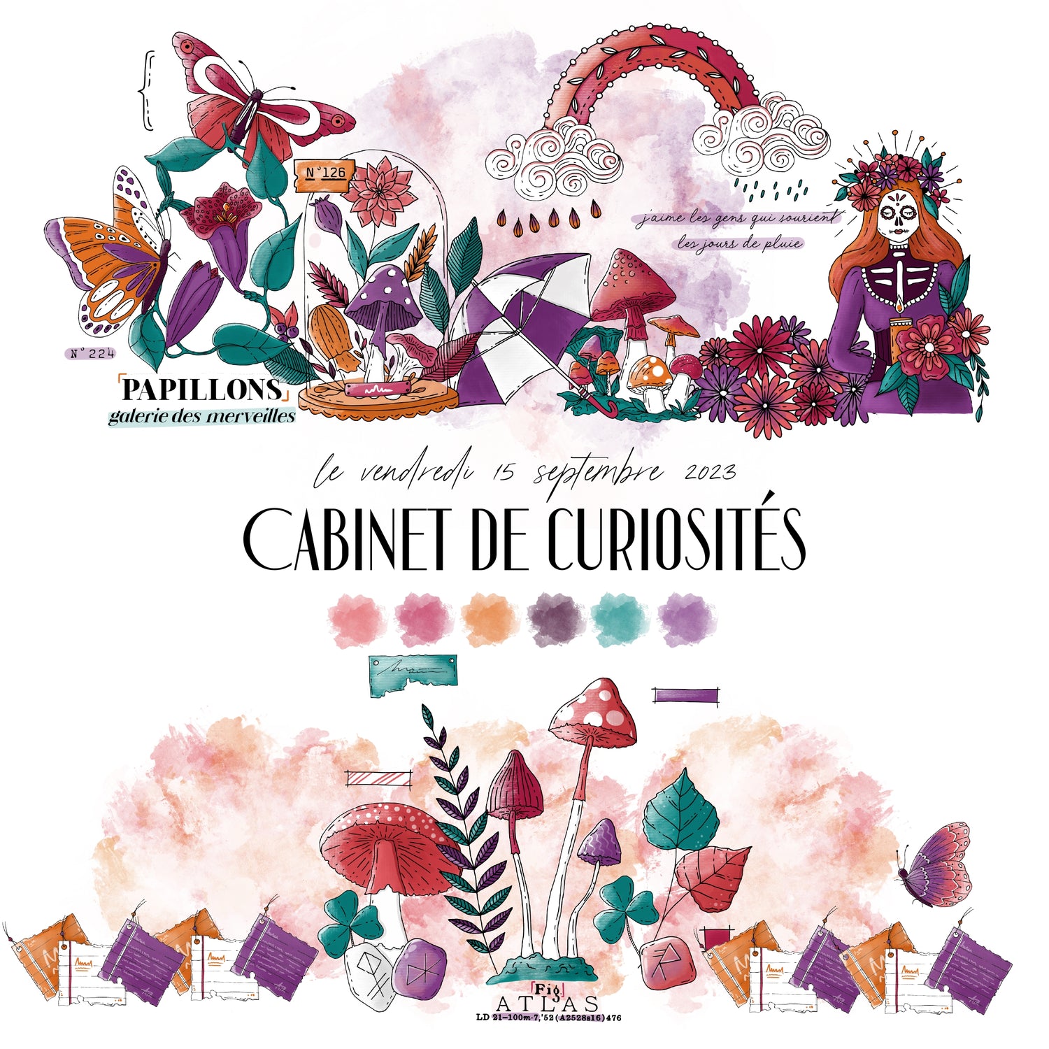 CHOU & FLOWERS - CABINET DE CURIOSITES