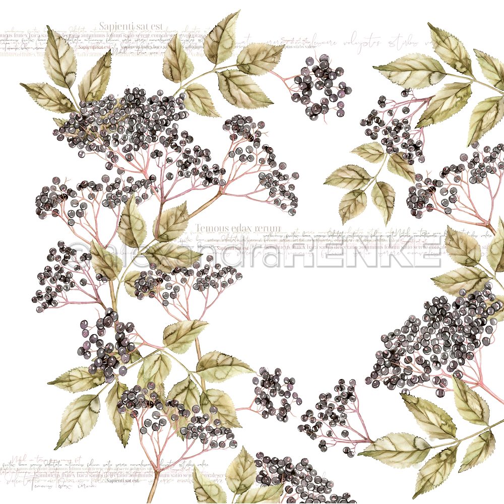 Design paper 'Elder Wreath' - P AR 10.1024 - A.RENKE