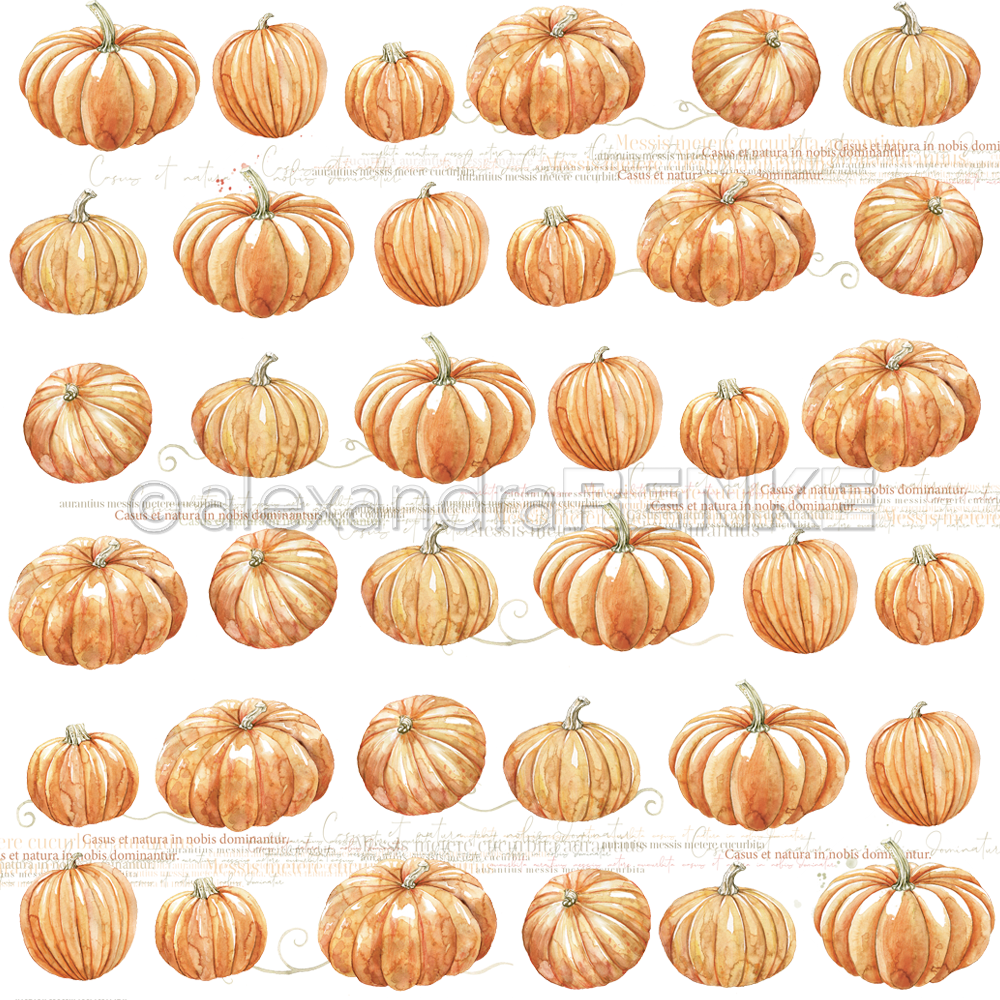 Design paper 'Pumpkins Report - P AR 10.1027 - A.RENKE