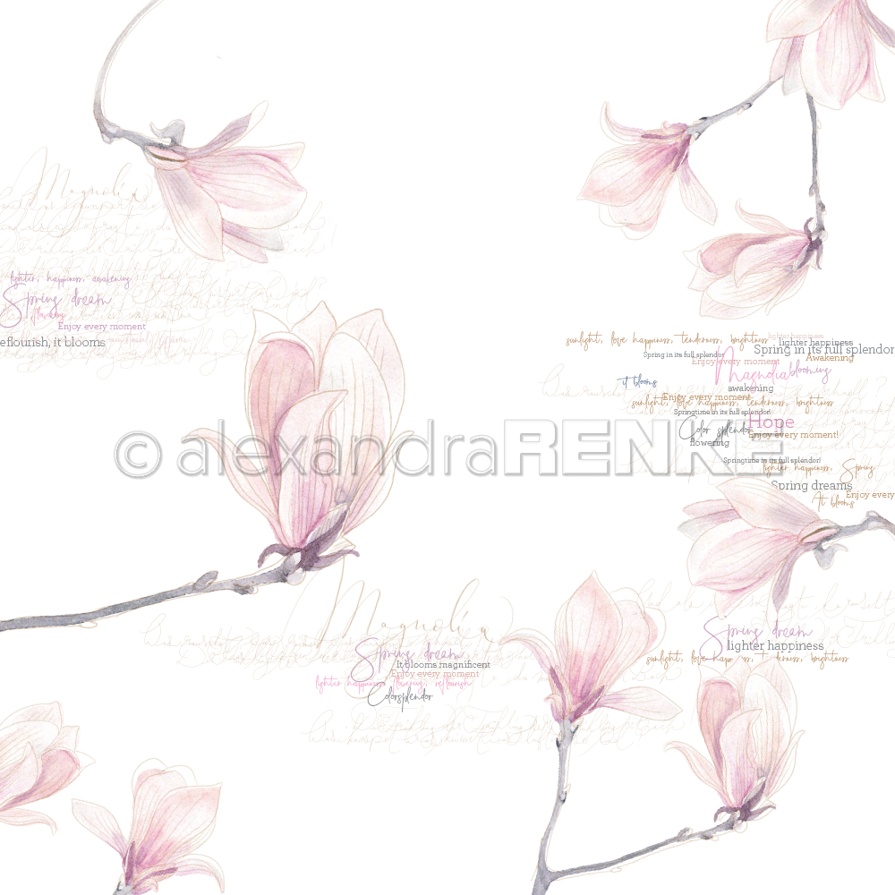 A. RENKE - Carta  'Magnolia blossoms' 10.1306x