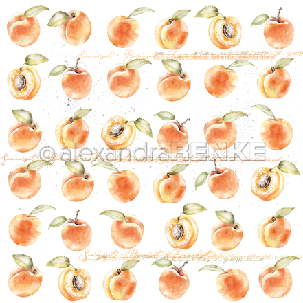 A. RENKE - 'Apricots' paper - 10.1356