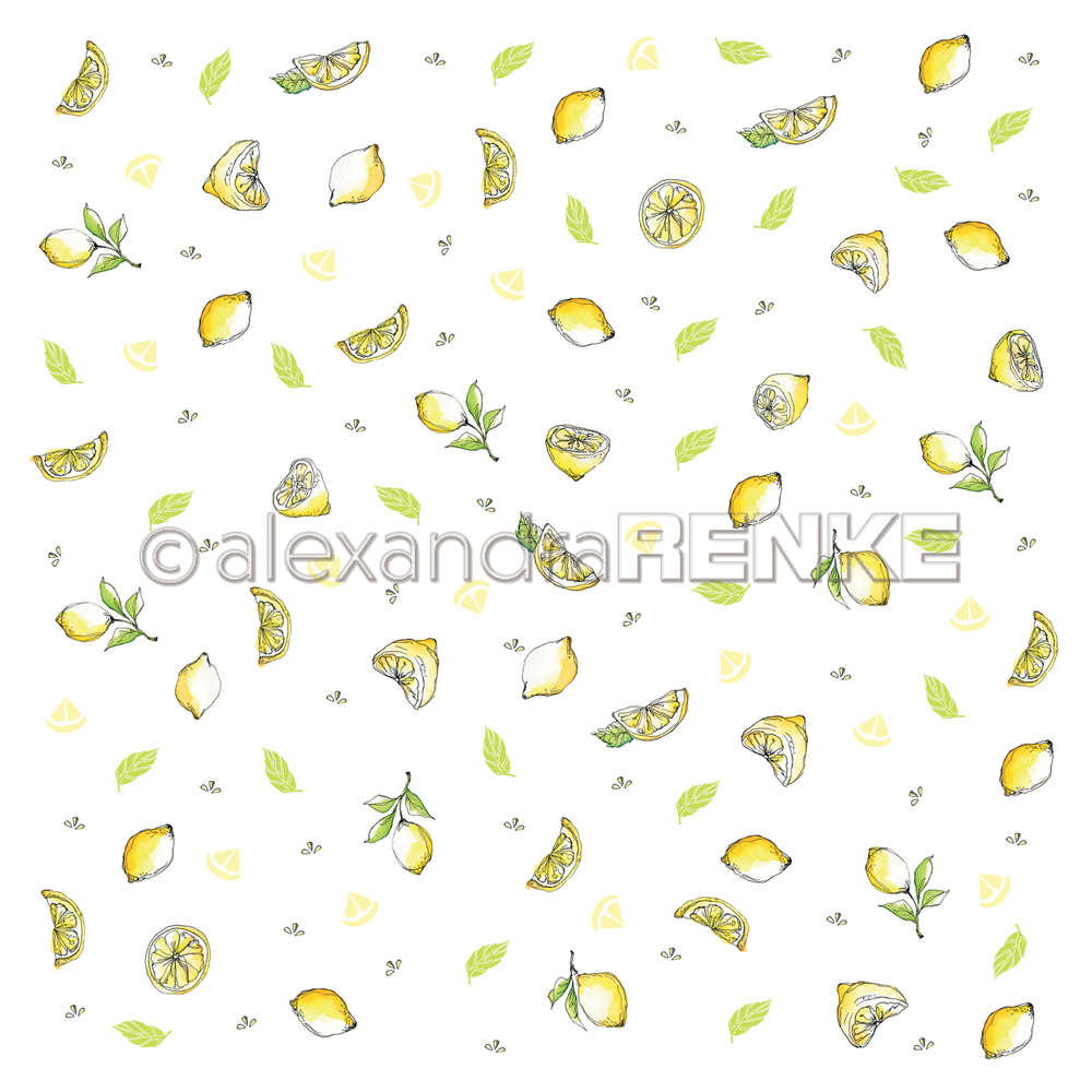 A. RENKE - 'Lemons' paper 10.1666