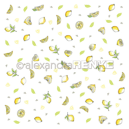 A. RENKE - 'Lemons' paper 10.1666