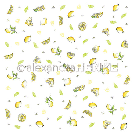 A. RENKE - 'Lemons' paper 10.1666