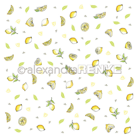 A. RENKE - 'Lemons' paper 10.1666