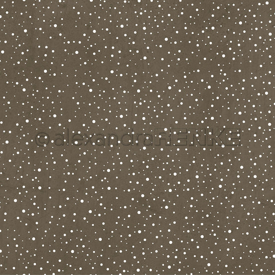 A.RENKE - Carta  "Snow flurry tin grey"- 10.2421