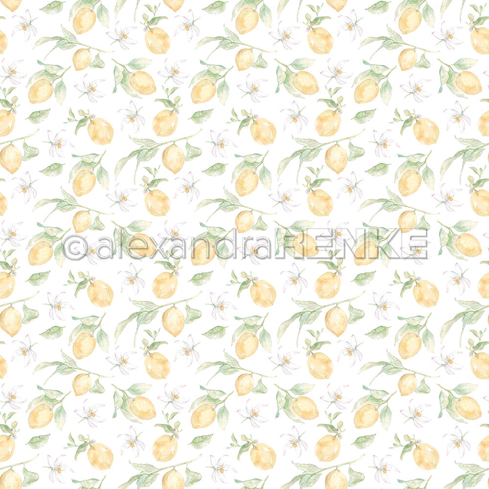 A.RENKE - Carta 'Big lemons rapport" 10.2649