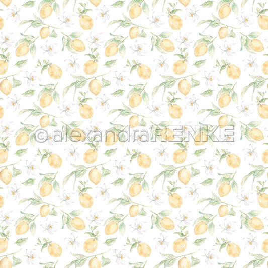 A.RENKE - Carta 'Big lemons rapport" 10.2649