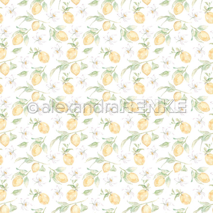 A.RENKE - Carta 'Big lemons rapport" 10.2649