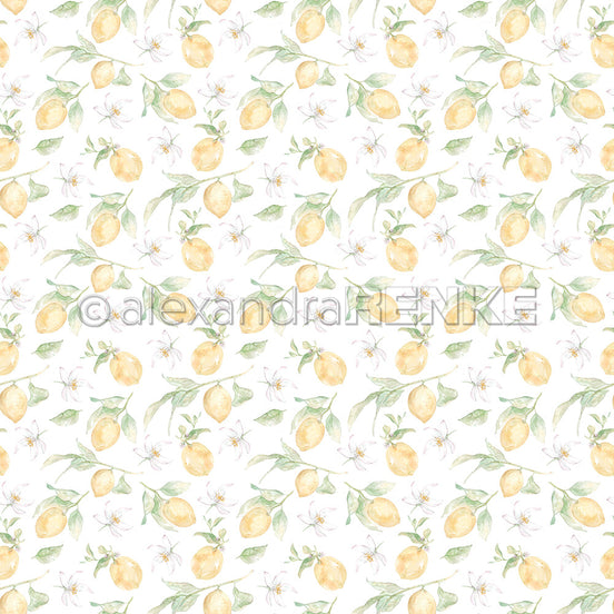 A.RENKE - Paper 'Big lemons rapport' 10.2649