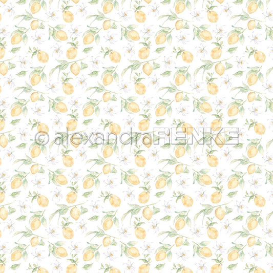 A.RENKE - Carta 'Small lemons rapport" 10.2650