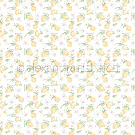 A.RENKE - Carta 'Small lemons rapport" 10.2650