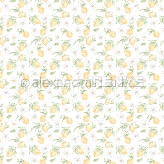 A.RENKE - Paper 'Small lemons rapport' 10.2650