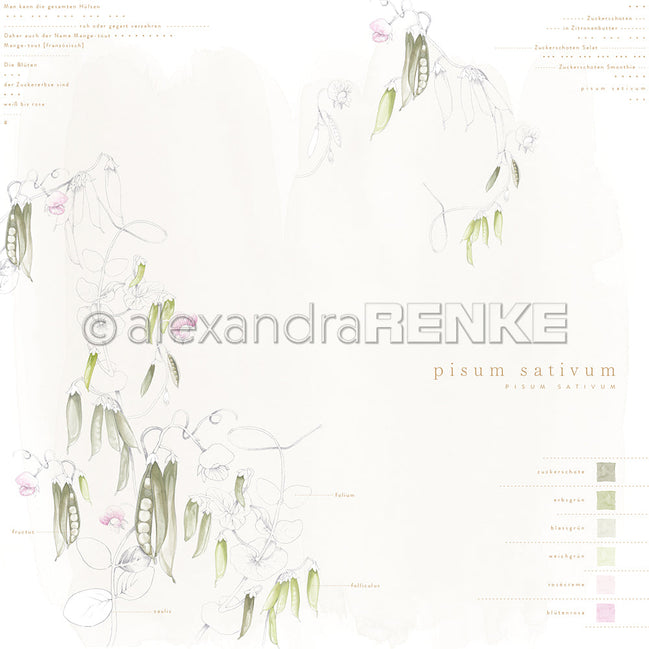 Design paper 'Pisum sativum' - P AR 10.3140 - A.RENKE