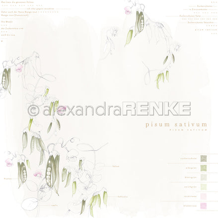 Design paper 'Pisum sativum' - P AR 10.3140 - A.RENKE