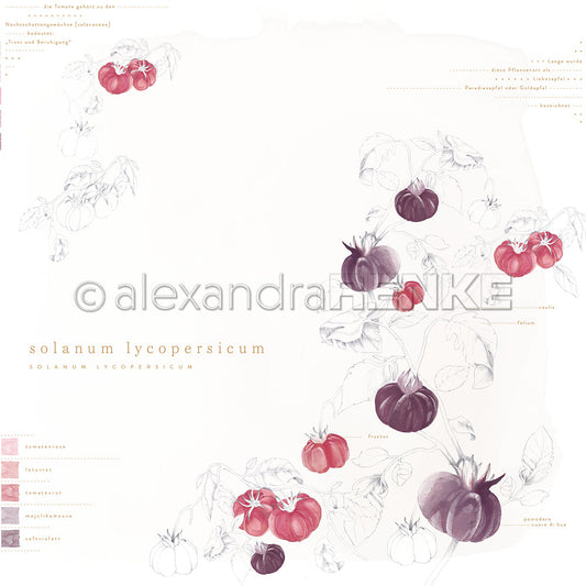 Design paper 'Solanum Lycopersicum'- P AR 10.3143 - A.RENKE