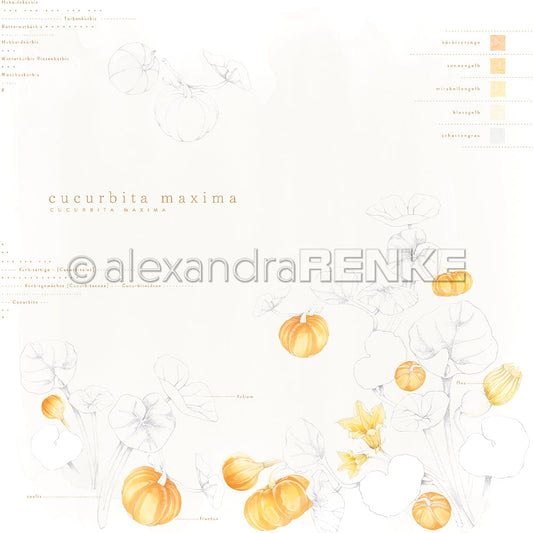 Design paper ' Cucurbita Maxima' - P AR 10.3144 - A.RENKE