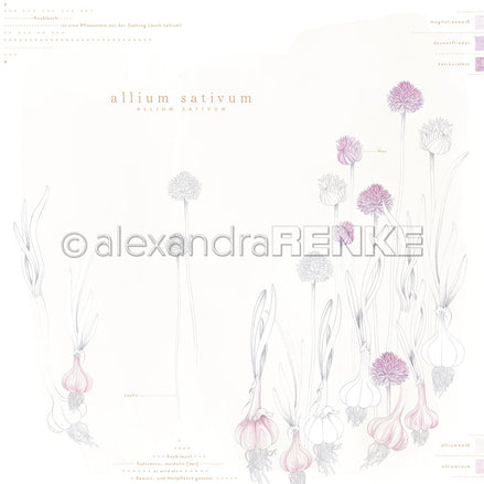 Design paper ' Allium Sativum' - P AR 10.3146 - A.RENKE