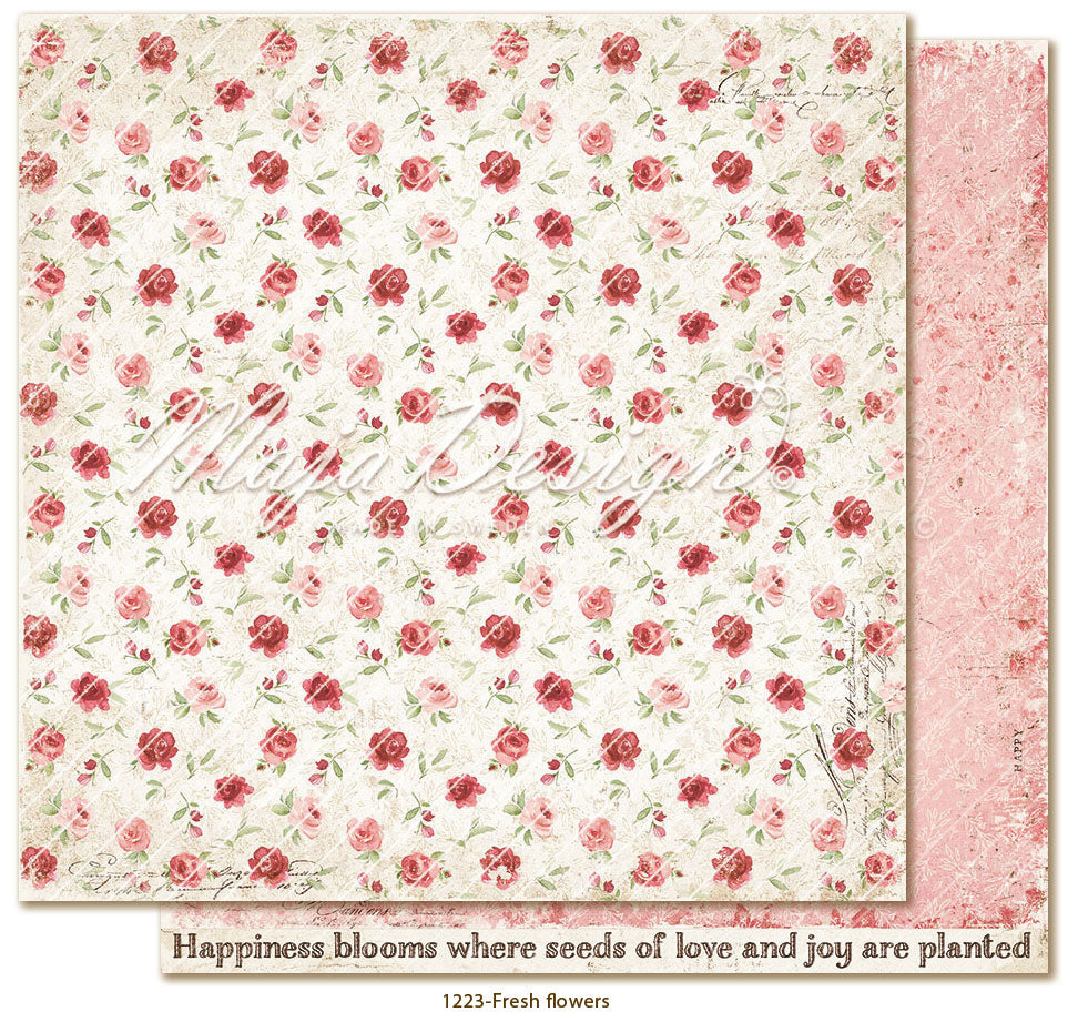 Collection Pack "Everyday Life" - 1238 - MAJA DESIGN