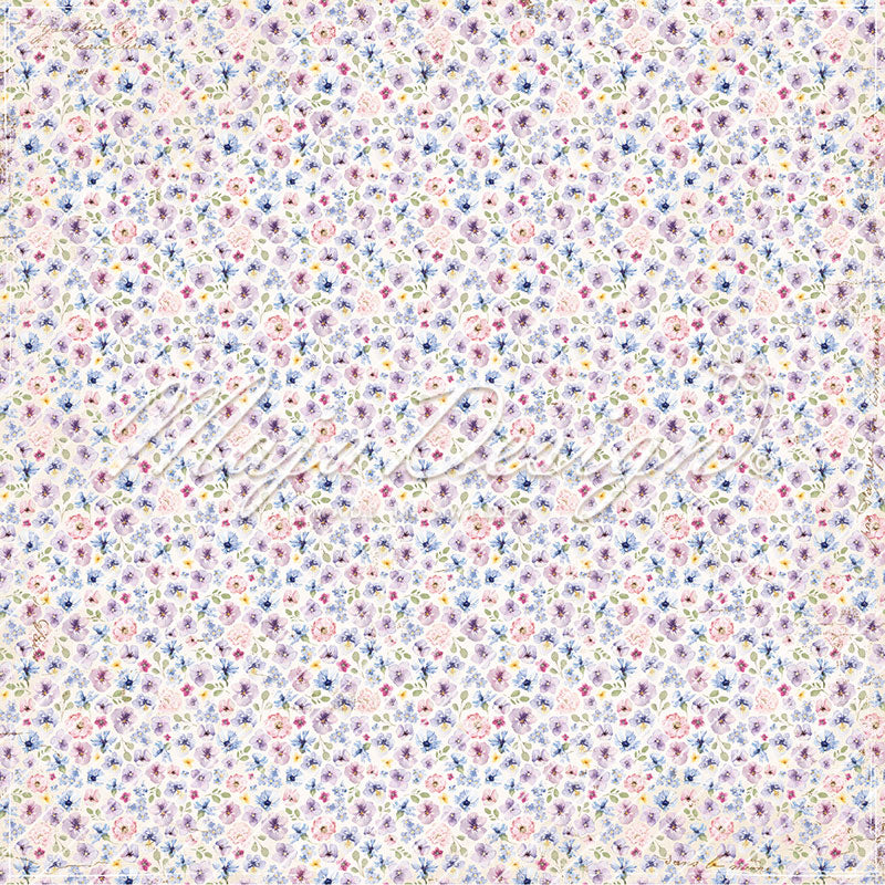Foglio carta 