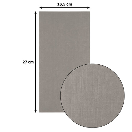 2823-087 CONCRETE - Foglio Cardstock Florence tramato LINO  27x13,5 cm