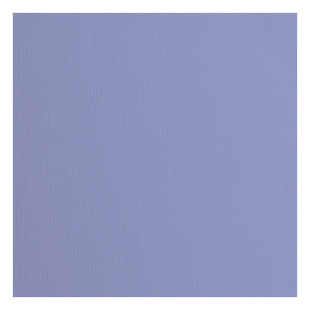 29280-052 STEEL - Foglio Cardstock tramato Florence