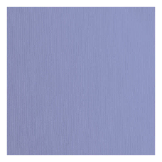 29280-052 STEEL - Foglio Cardstock tramato Florence