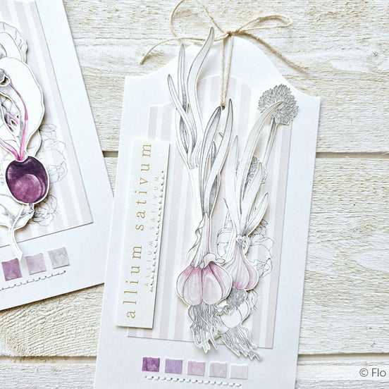 Design paper ' Allium Sativum' - P AR 10.3146 - A.RENKE