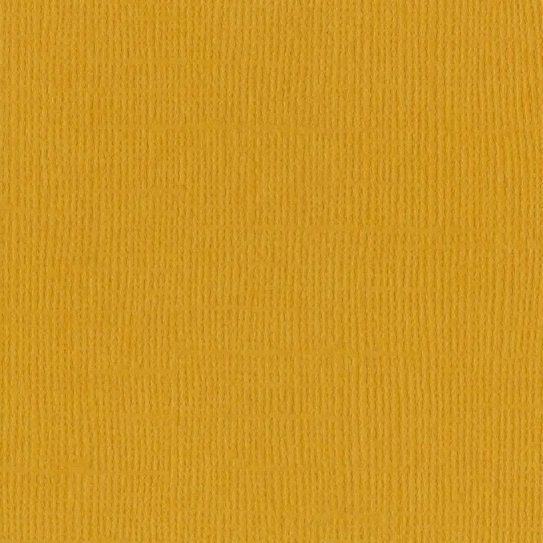 Foglio Canvas Mono Candle Retired - 301646 BAZZILL