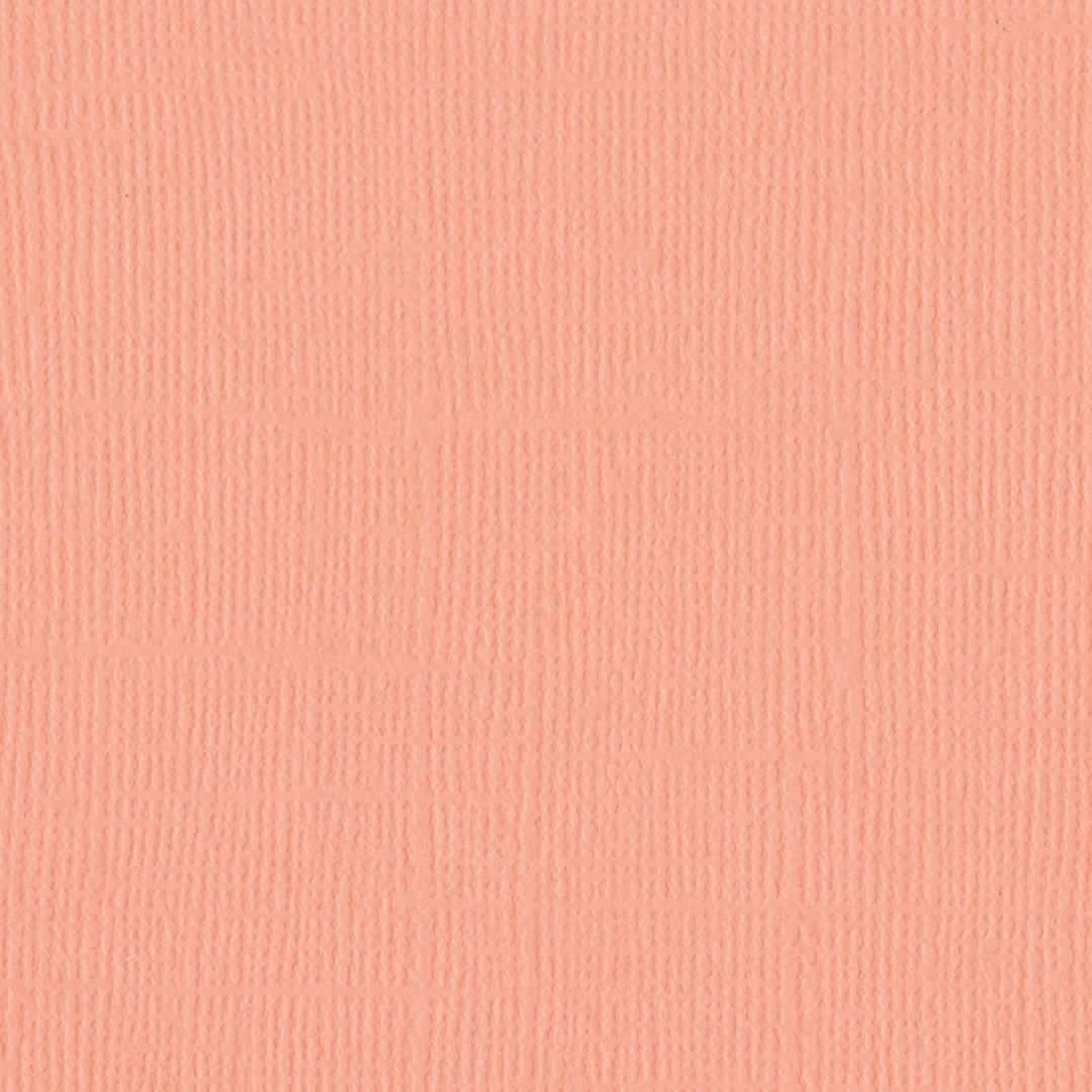 Mono Canvas Sheet CORAL CREAM - 305048 BAZZILL