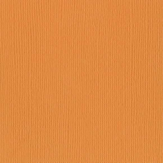 Mono Apricot Canvas Sheet - 309009 BAZZILL
