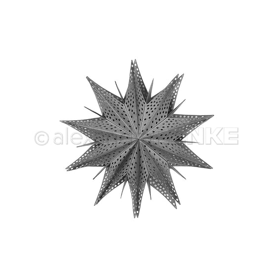 D-AR-3D0091 Fustella 'Star segment with hole pattern'  - A. RENKE